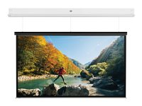 Da-Lite DescenderPro - Projektorduk - takmontering - motoriserad - 131" (333 cm) - 16:9 - Matte White - vit pulverbeläggning 10104768