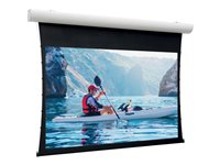 Da-Lite Tensioned Elpro Concept - Projektorduk - takmontering - motoriserad - 230 V - 172" (436 cm) - 16:10 - HD Progressive 1.1 Contrast - RAL 9016 10101041