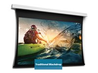 Da-Lite Tensioned DescenderPro - Projektorduk - takmontering - motoriserad - 230 V - 106.69" (271 cm) - 16:10 - HD Progressive 1.3 - RAL 9016, matt vit 10104718