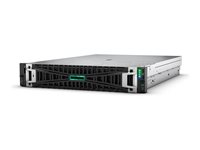 HPE ProLiant DL385 Gen11 - kan monteras i rack EPYC 9124 3 GHz - 64 GB - ingen HDD P77244-425