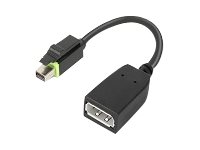 Lenovo - DisplayPort-adapter - Mini DisplayPort (hane) till DisplayPort (hona) - för ThinkCentre M75t Gen 2; ThinkStation P320; P330; P330 Gen 2; P348; P520; P620; P720; P920 4X90Q93975