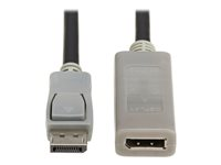 Eaton Tripp Lite Series DisplayPort Extension Cable with Active Repeater and Latching Connector (M/F), 4K 60 Hz, HDR, 4:4:4, HDCP 2.2, 20 ft. (6.1 m), TAA - DisplayPort-kabel - TAA-kompatibel - DisplayPort (hane) till DisplayPort (hona) - DisplayPort 1.2 - 6.1 m - passiv, guldpläterade kontakter, aktiv förstärkare, 4K60Hz stöd - svart, grå P579-020-4K6